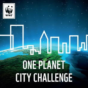 WWF launches its 2019 One Planet City Challenge