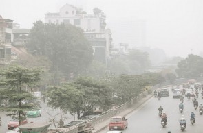 Ô nhiễm kim loại nặng trong không khí: Khi rêu trở thành “chứng nhân”