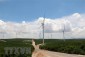 Phát triển năng lượng tái tạo tại Việt Nam: Vẫn còn nhiều rào cản
