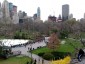 Từ Central Park nghĩ về công viên Thống Nhất