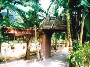 Dấu xưa hồn thu thảo ở làng Việt cổ, Ninh Bình