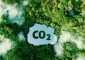 Tín chỉ carbon - “tài nguyên” mới nổi