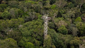 Brazil xây dựng công trình phun khí CO2 vào rừng nhiệt đới Amazon