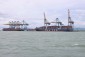 Trình Thủ tướng đề án nghiên cứu cảng Cần Giờ theo hướng cảng xanh