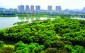 “Không gian rừng trong trung tâm”: Cơ hội phát triển đô thị Hà Nội bản sắc - bền vững