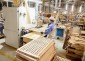 TP.HCM: Doanh nghiệp gỗ chủ động mở rộng biên độ kinh doanh